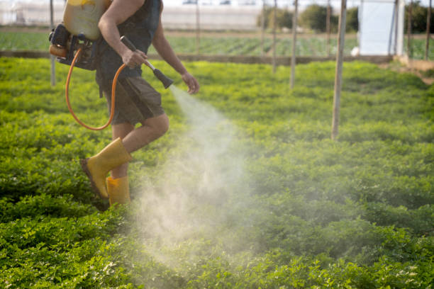 Best Wildlife Control Services  in Leon Valley, TX