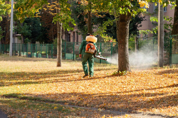 Best Best Pest Control Companies  in Leon Valley, TX